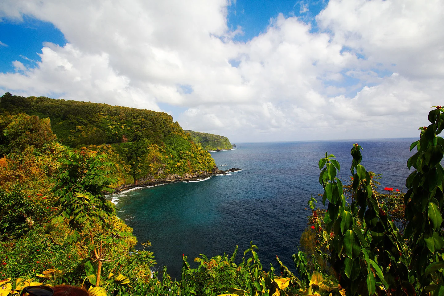 brian-wetzstein-hawaii-17.jpg