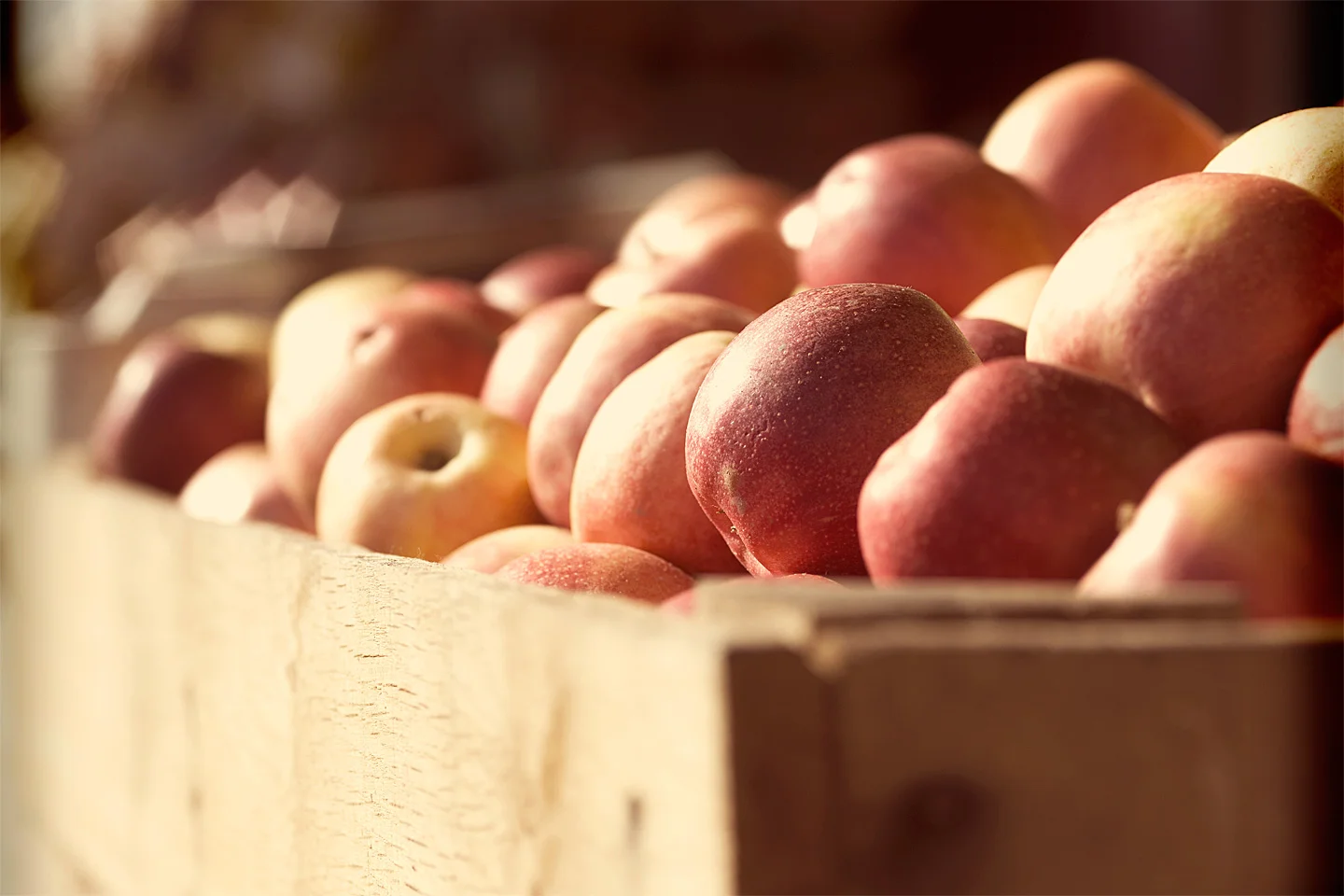 brian-wetzstein-apples-02.jpg