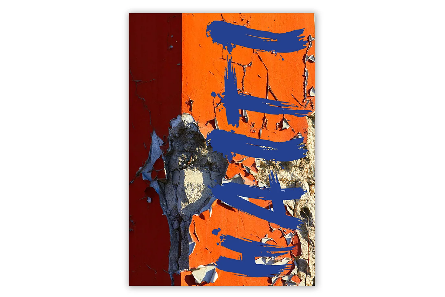 brian-wetzstein-art-for-haiti-book-cv.jpg