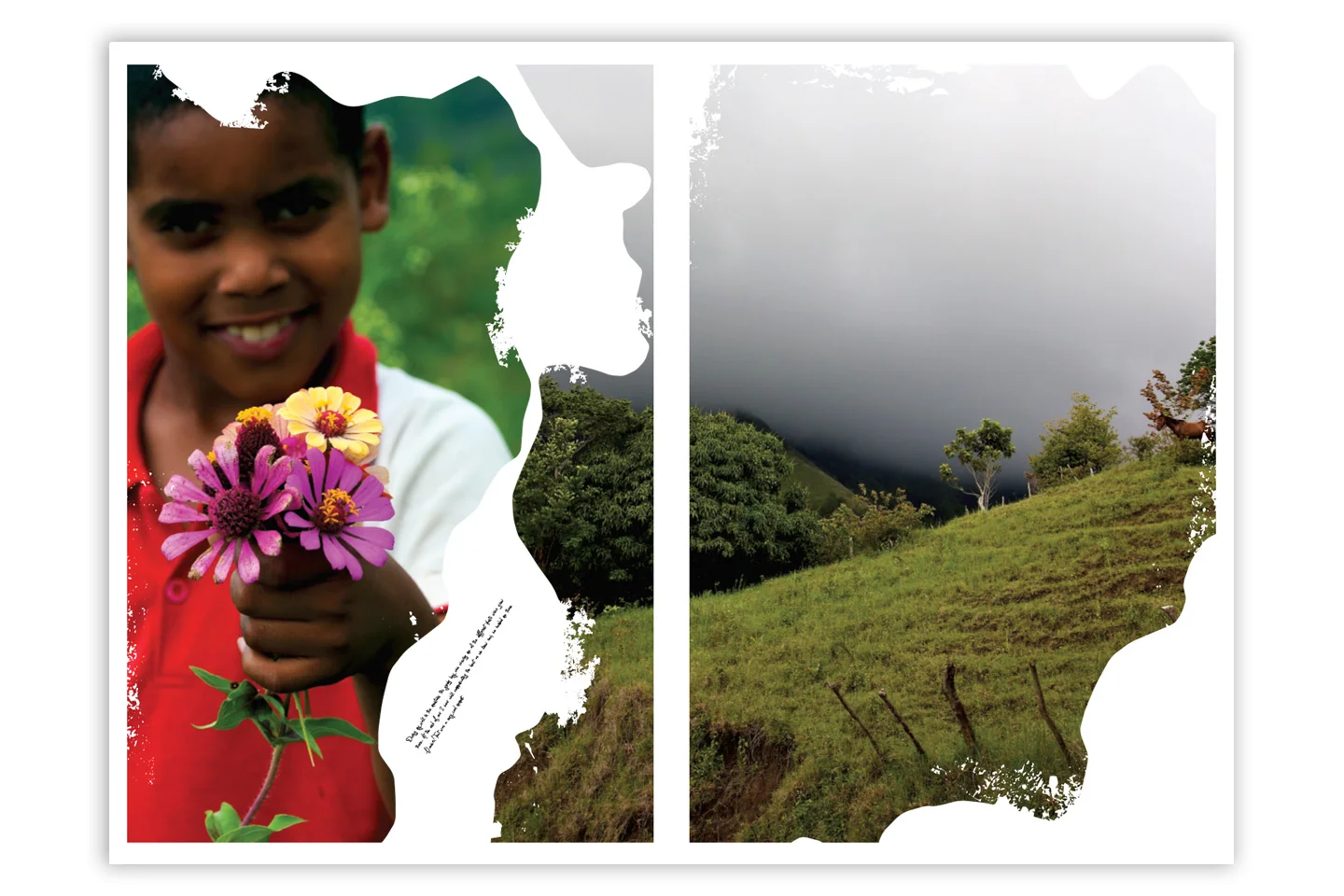 marek-hosek-art-for-haiti-book-12.jpg