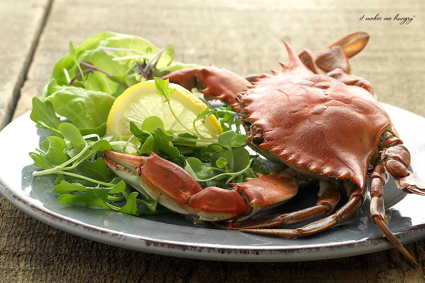 Maryland Blue Crab with salad