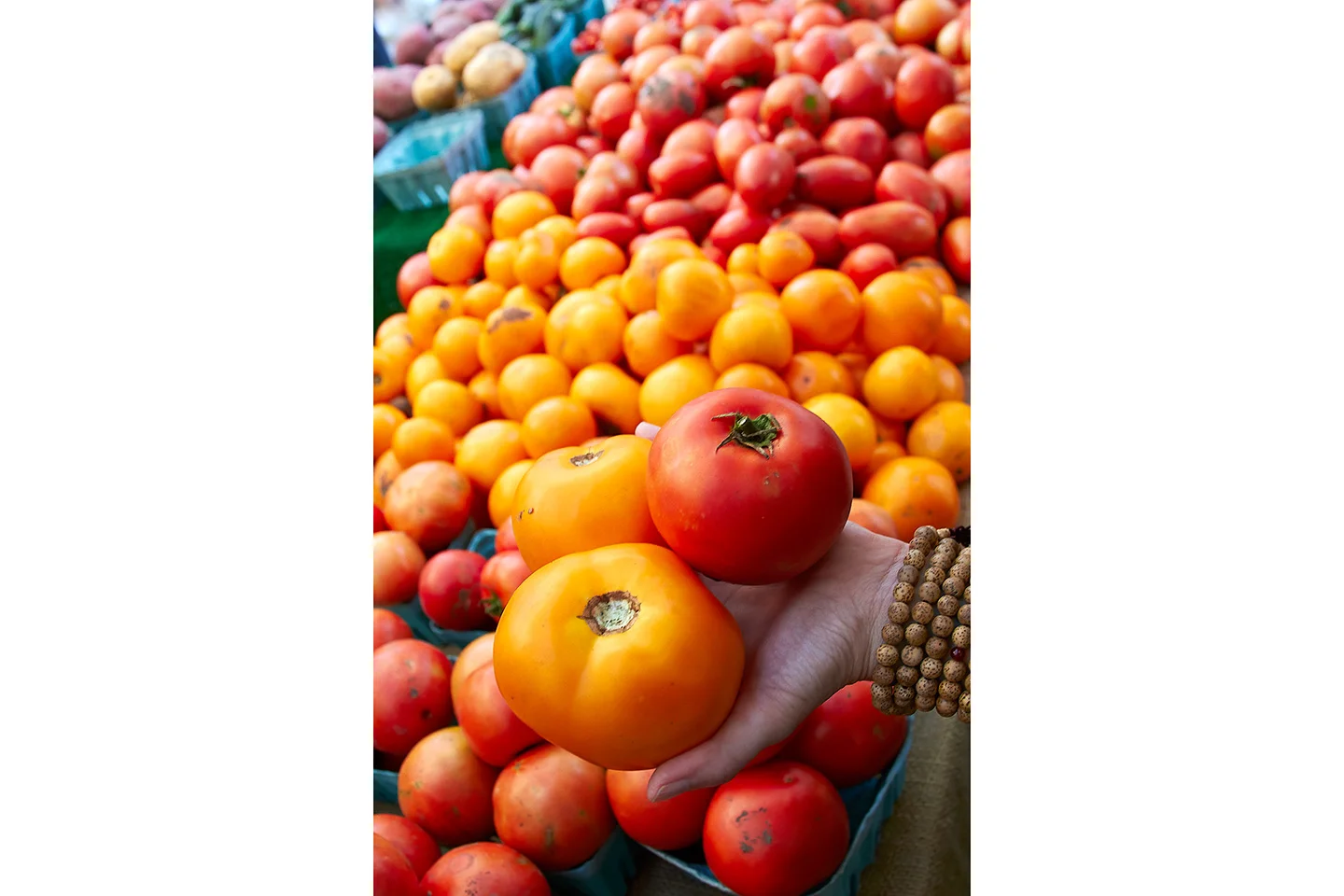 brian-wetzstein-tomatoes-001.jpg