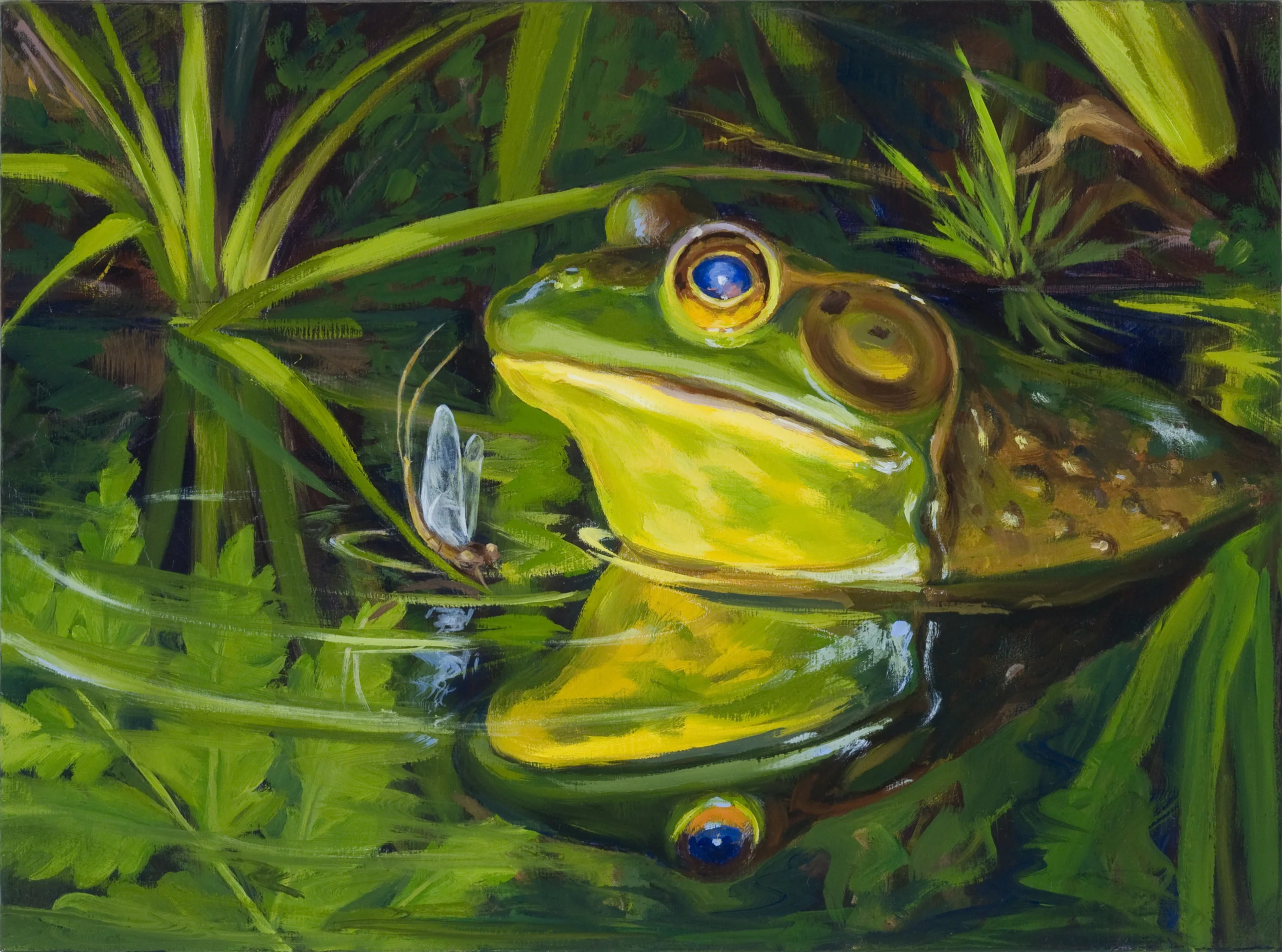 Frog's Life