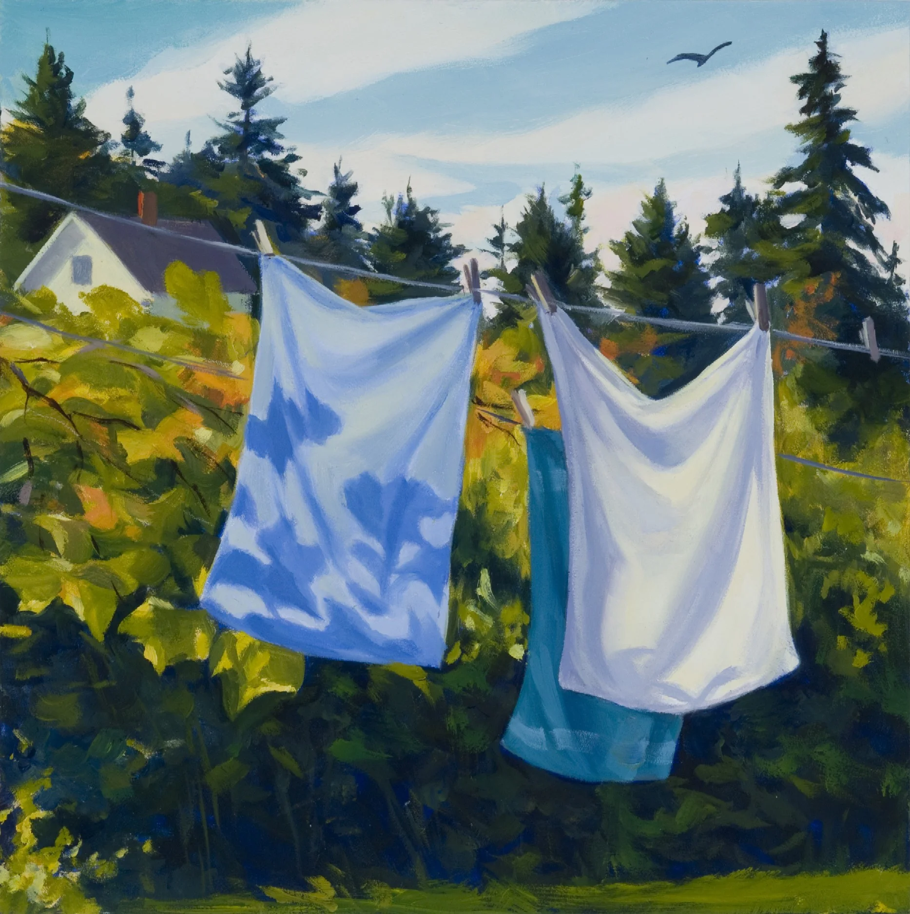 Clothesline and Grapevines