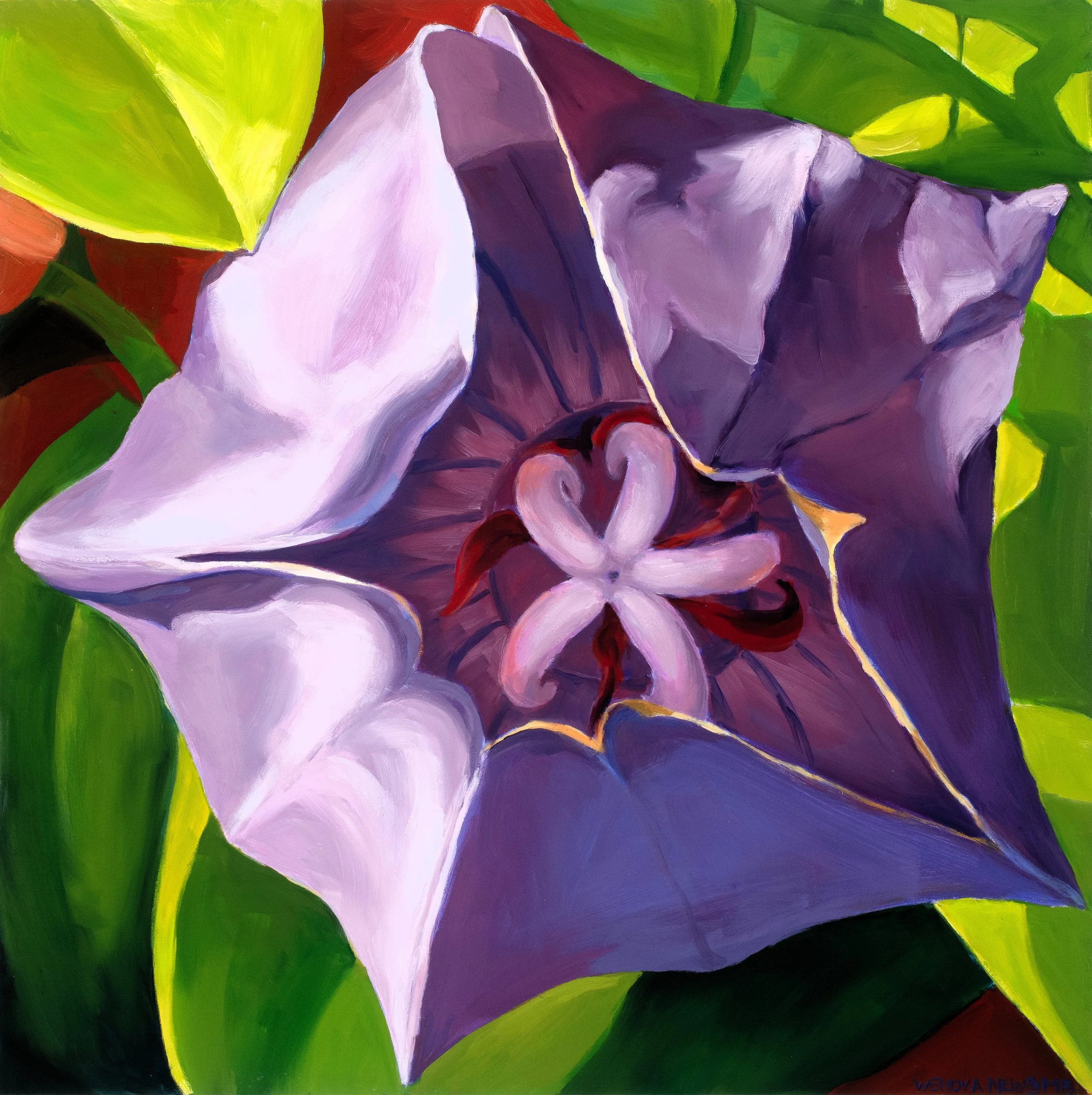Star of the Show