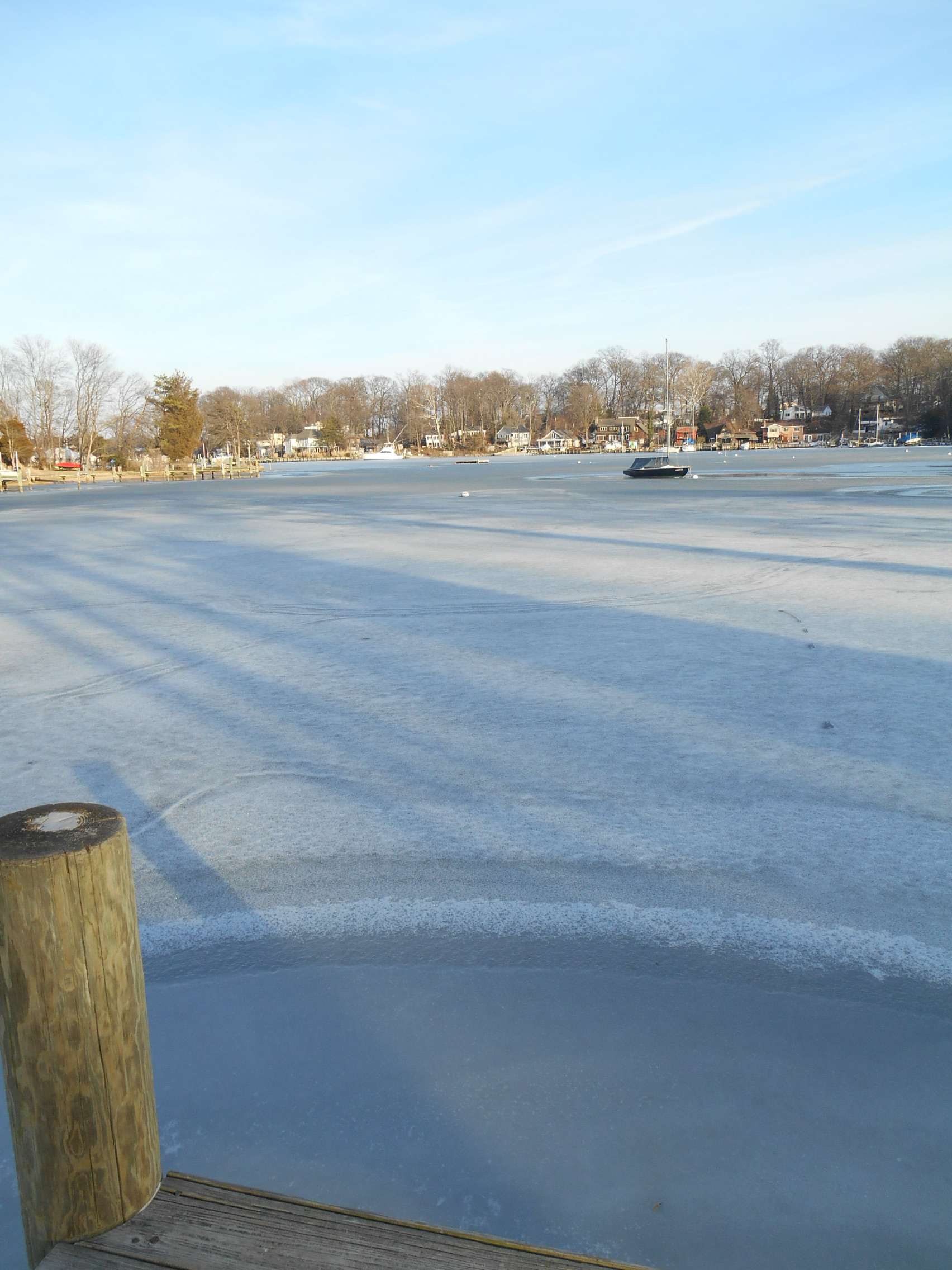 Lark swings alone in the ice ...