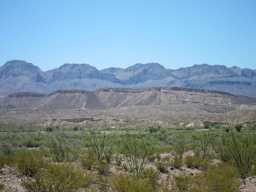 IMG_1375.jpg