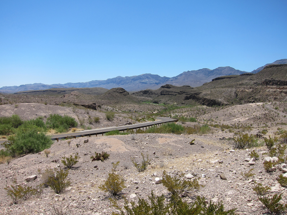 IMG_1382.jpg