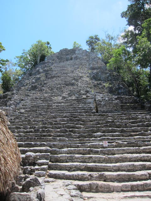 IMG_1672.jpg