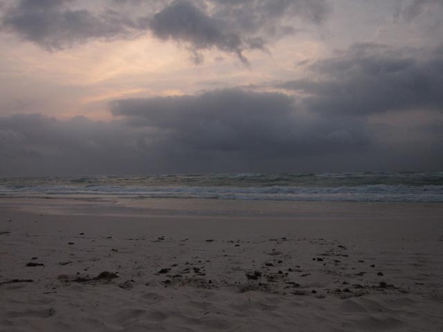 IMG_1804.jpg