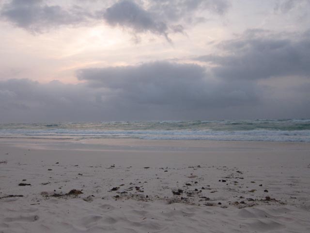 IMG_1805.jpg