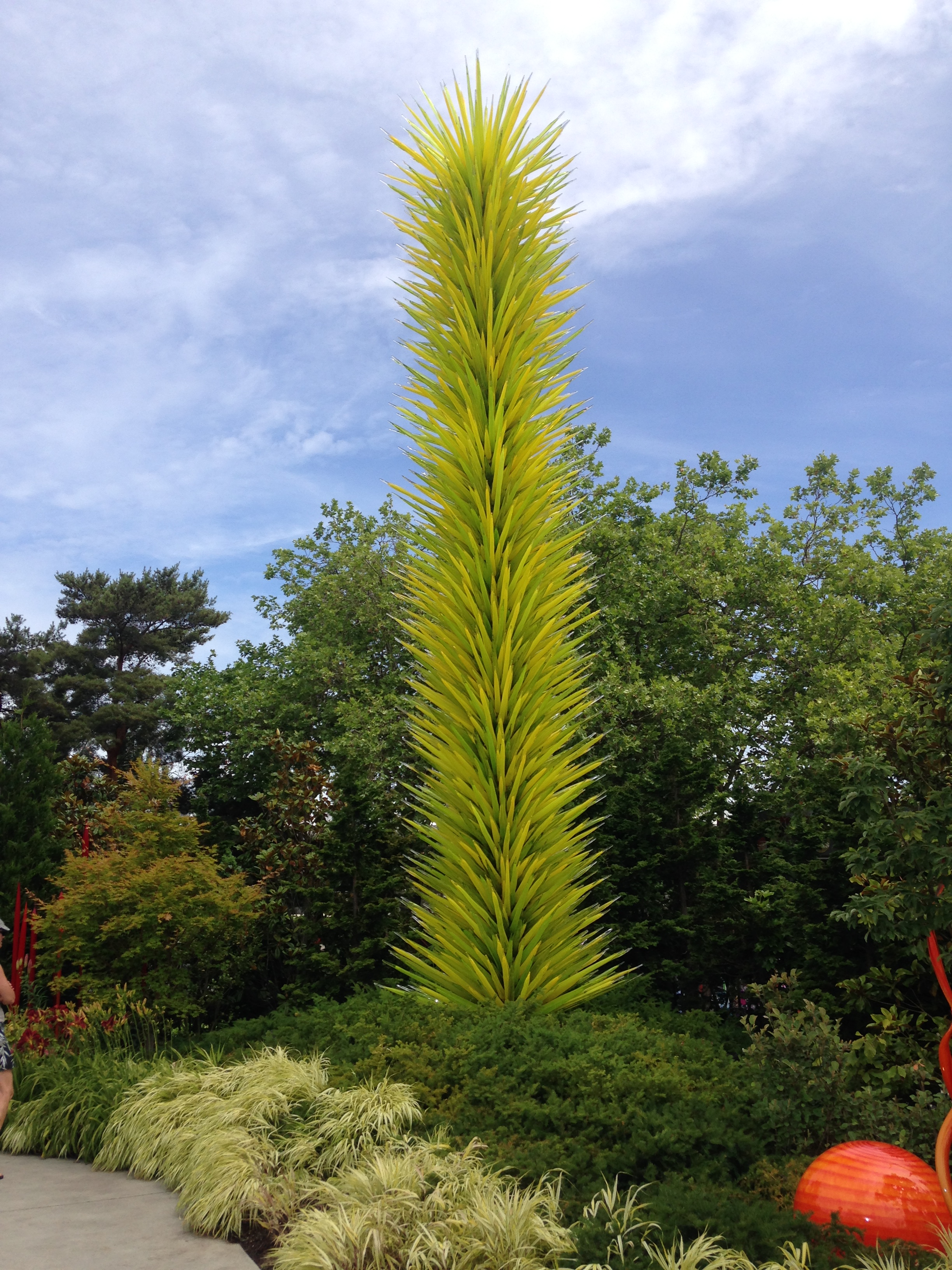 2015-06-24 11.37.16.jpg