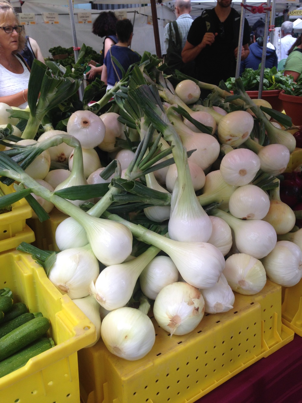 Bowling Ball-Sized Onions