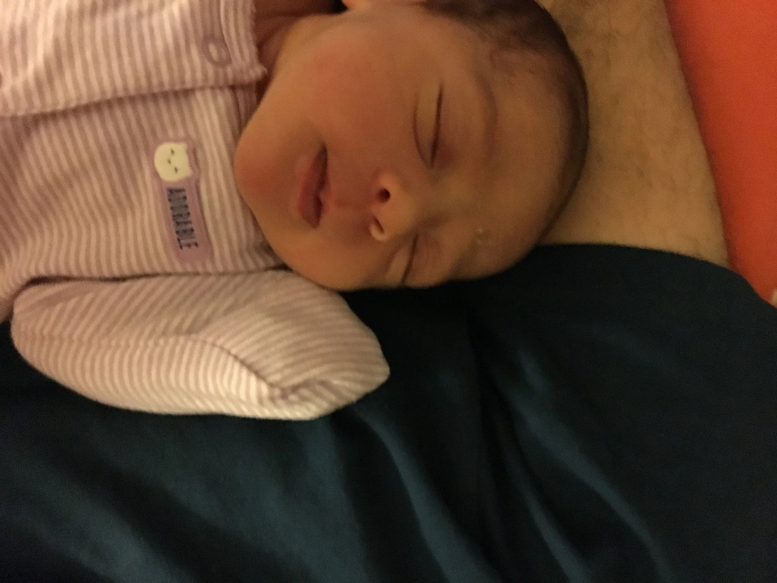2017-03-08 22.00.54.jpg
