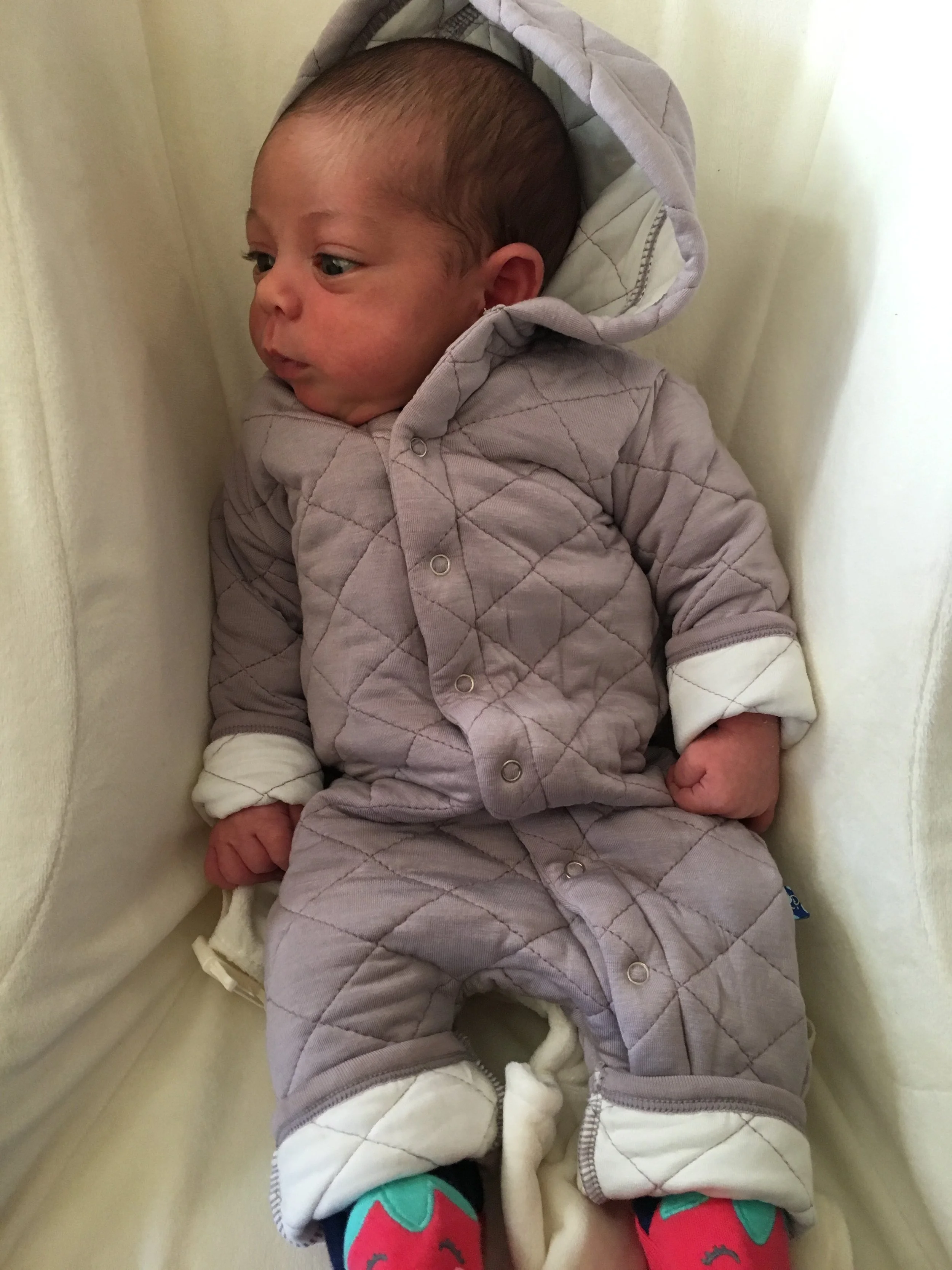 2017-03-19 17.45.53.jpg