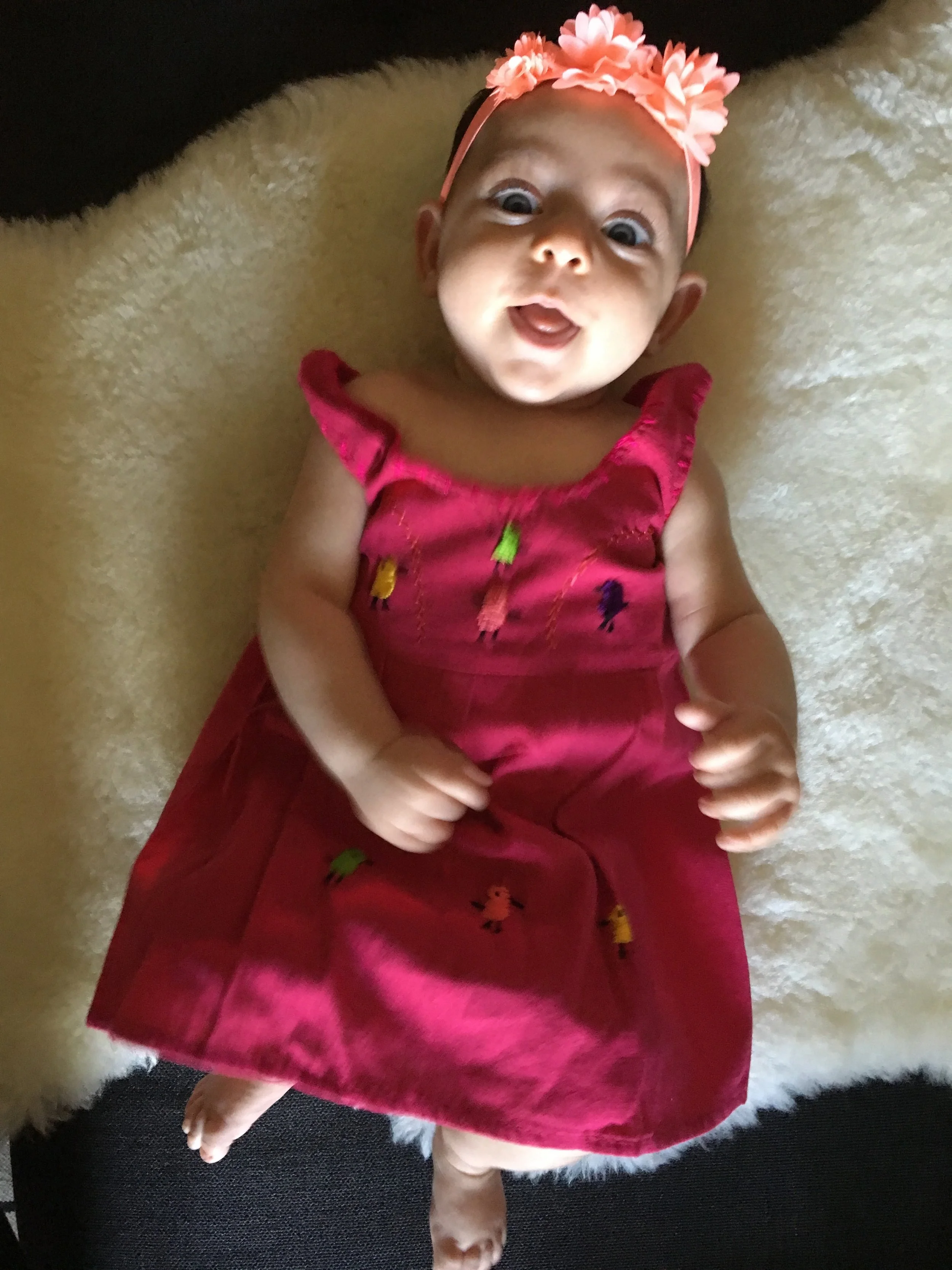 2017-06-10 08.59.15.jpg