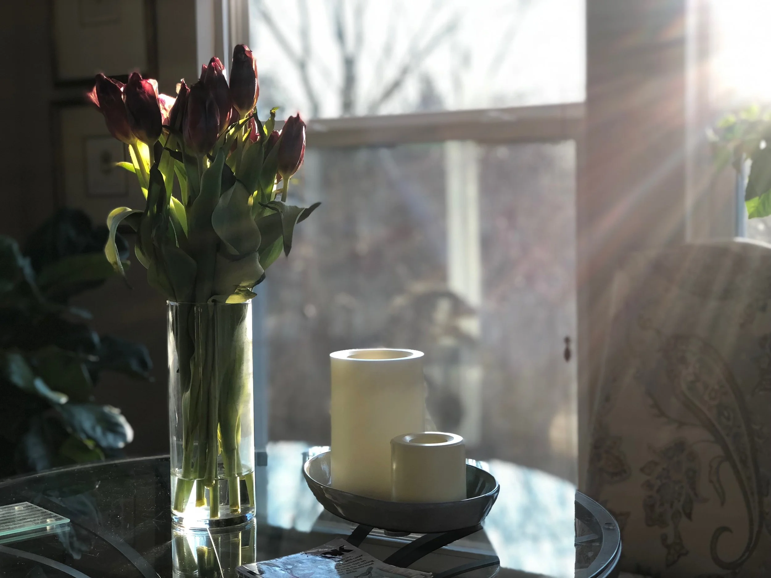 poem - tulips