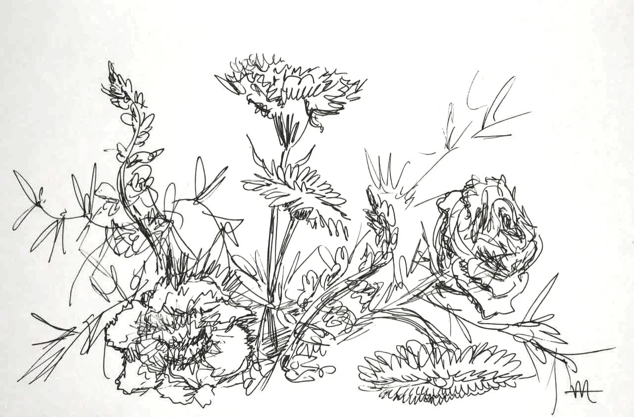 “Native Poppy” Ink, 5”x7”