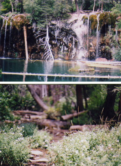 Untitled-3.jpg