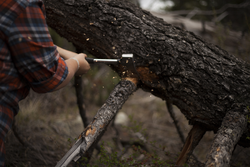 Gathering wood for the fire