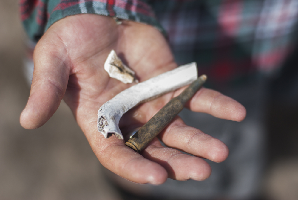 Findings at Mt. Hood