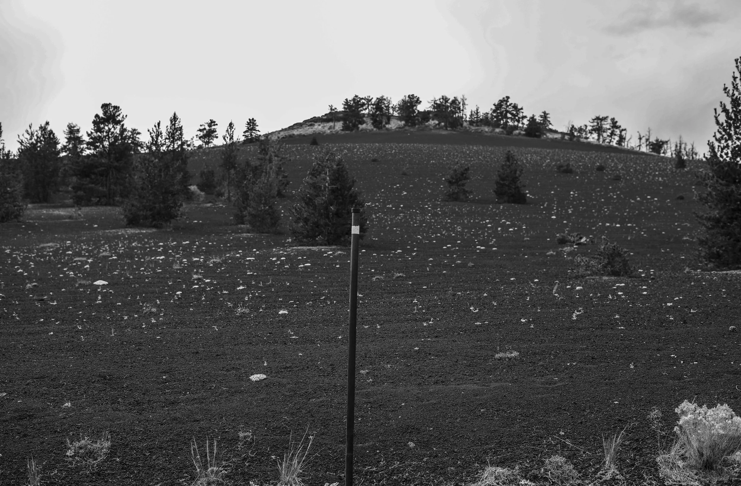 _DSC6599 copy.jpg