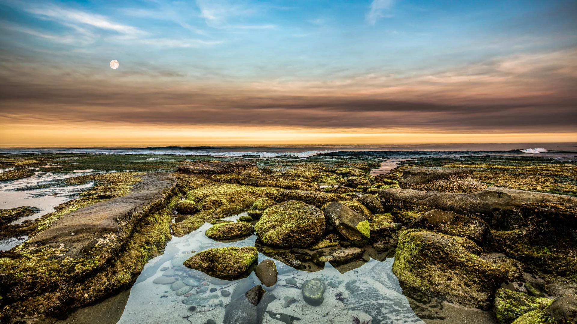 The Depths of La Jolla