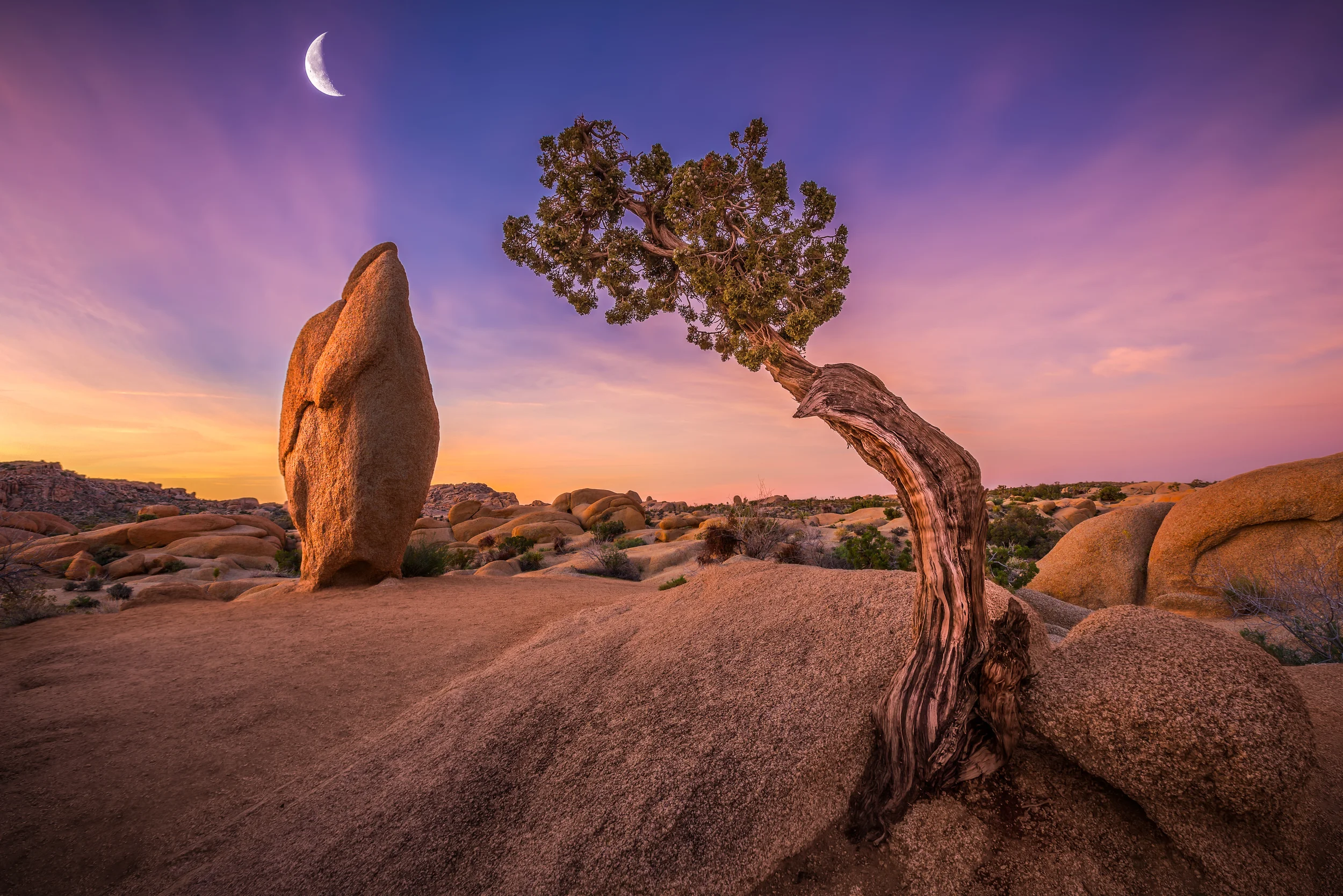 Paying Reverence To The Rising Moon