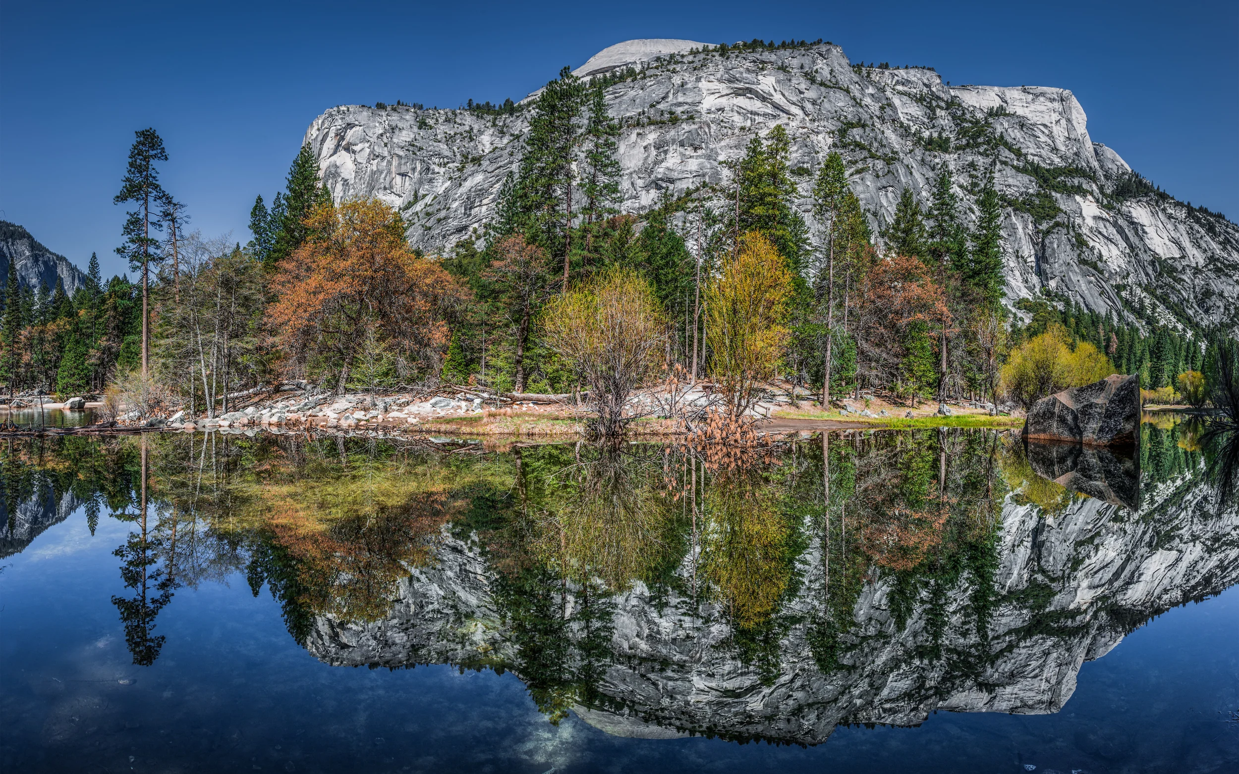 Mirror Vision