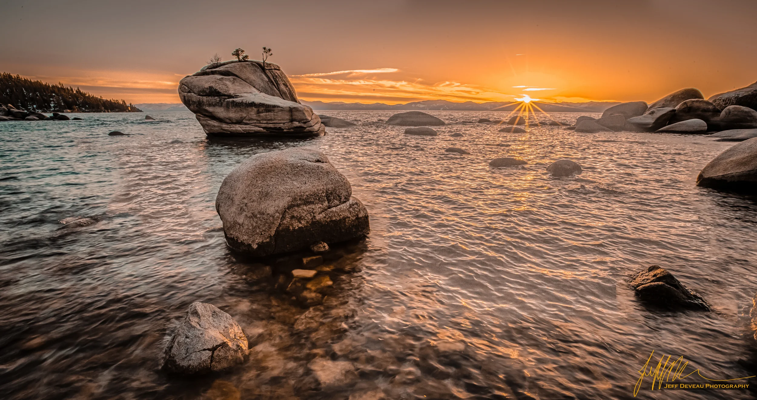 The Setting Sun yells Bonsia