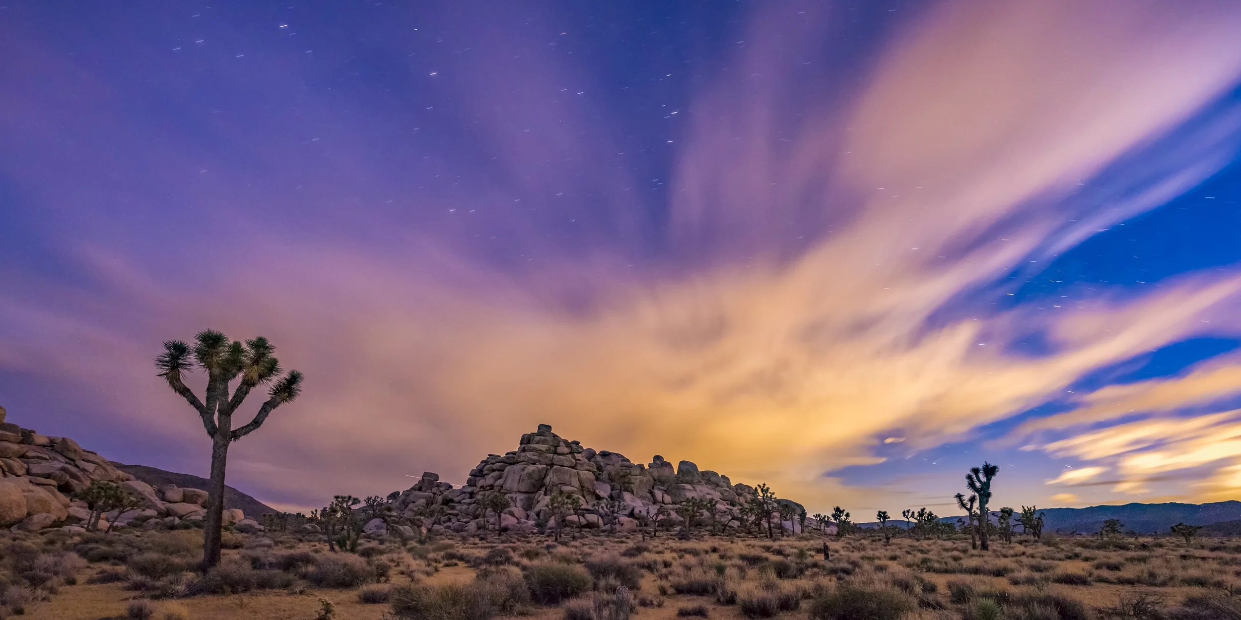 Joshua's Day in the Night by Jeff Deveau on 500px Jeff Deveau  Jeff Deveau 1783 Followers 95 Gallery Joshua's Day in the Night