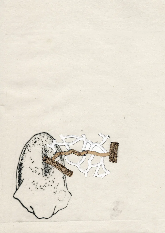  Eat the world  Drypoint Chine-collé   