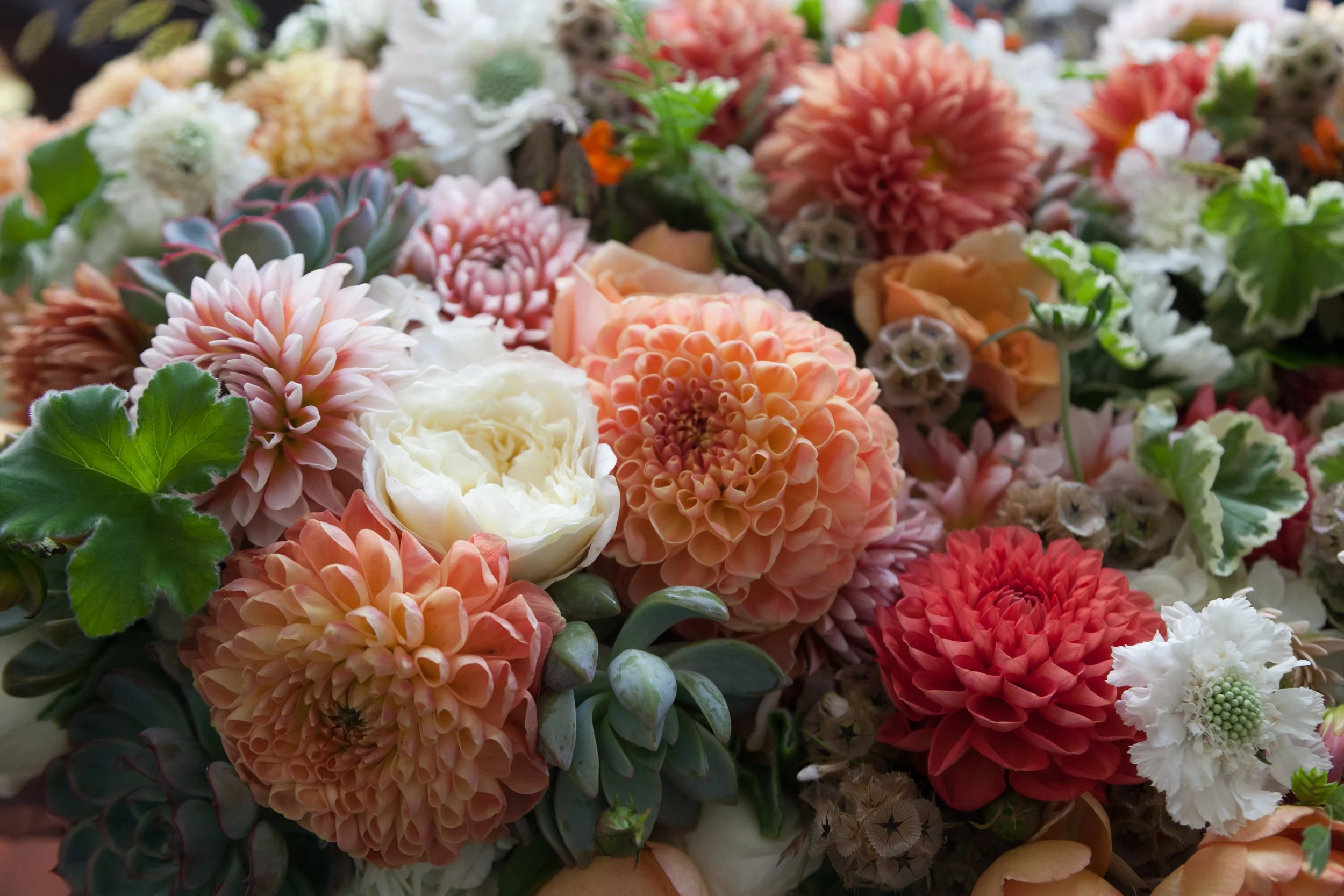 Masha & Matt 2016 - 4859.JPG