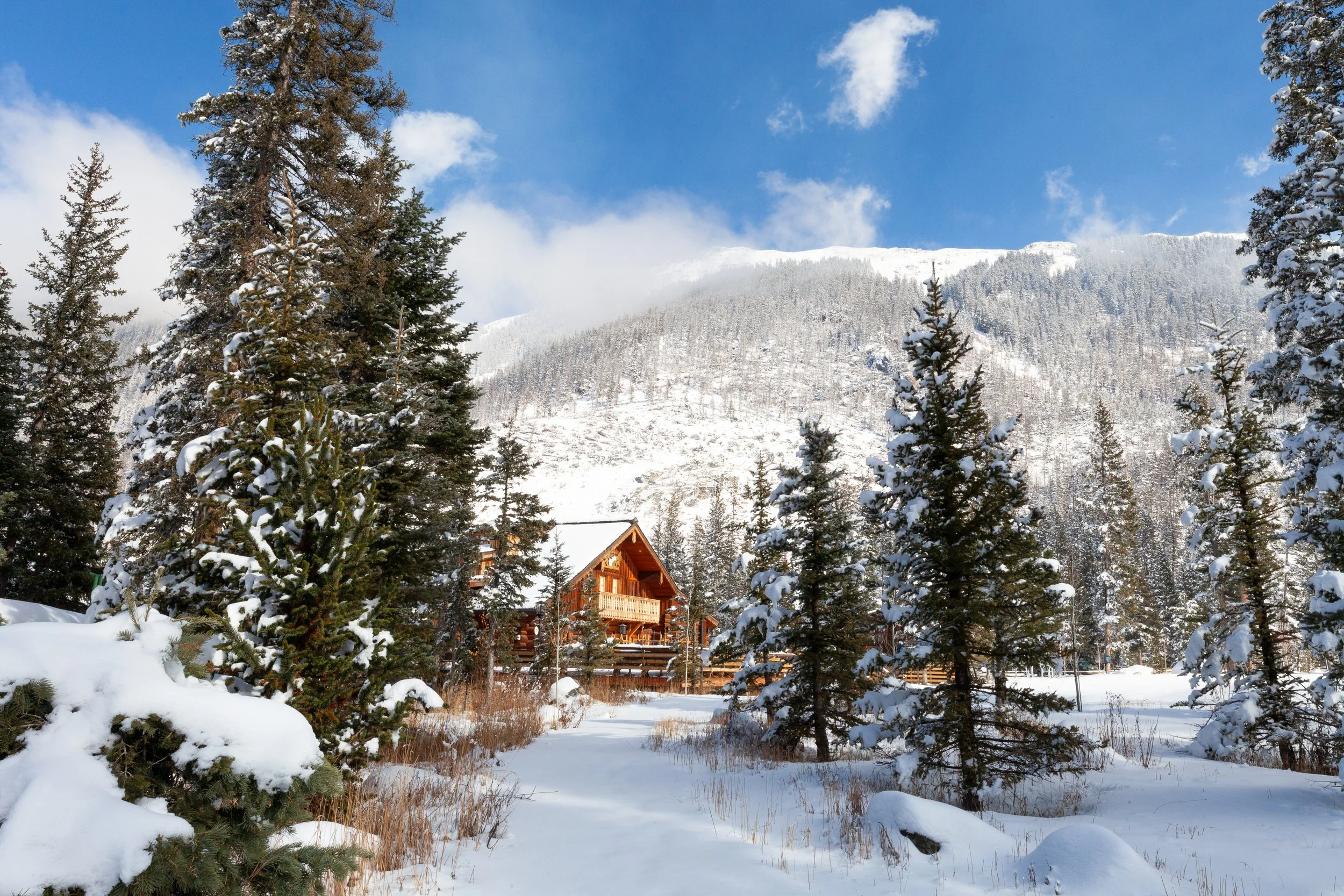 WEB Snow Day 11.21.25-6.JPG