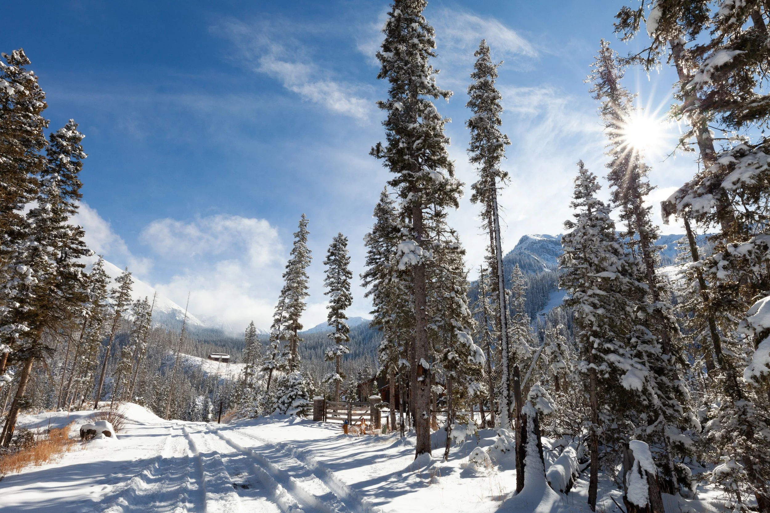 WEB Snow Day 11.21.25-3.JPG