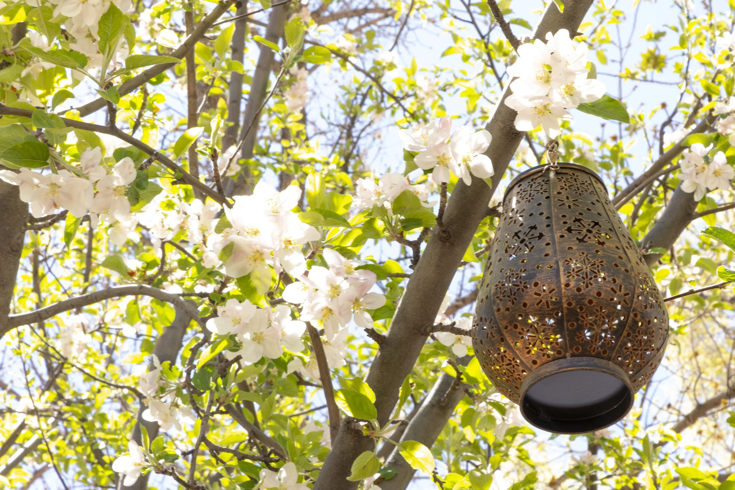 WEB High Res Lambert's of Taos-5.JPG