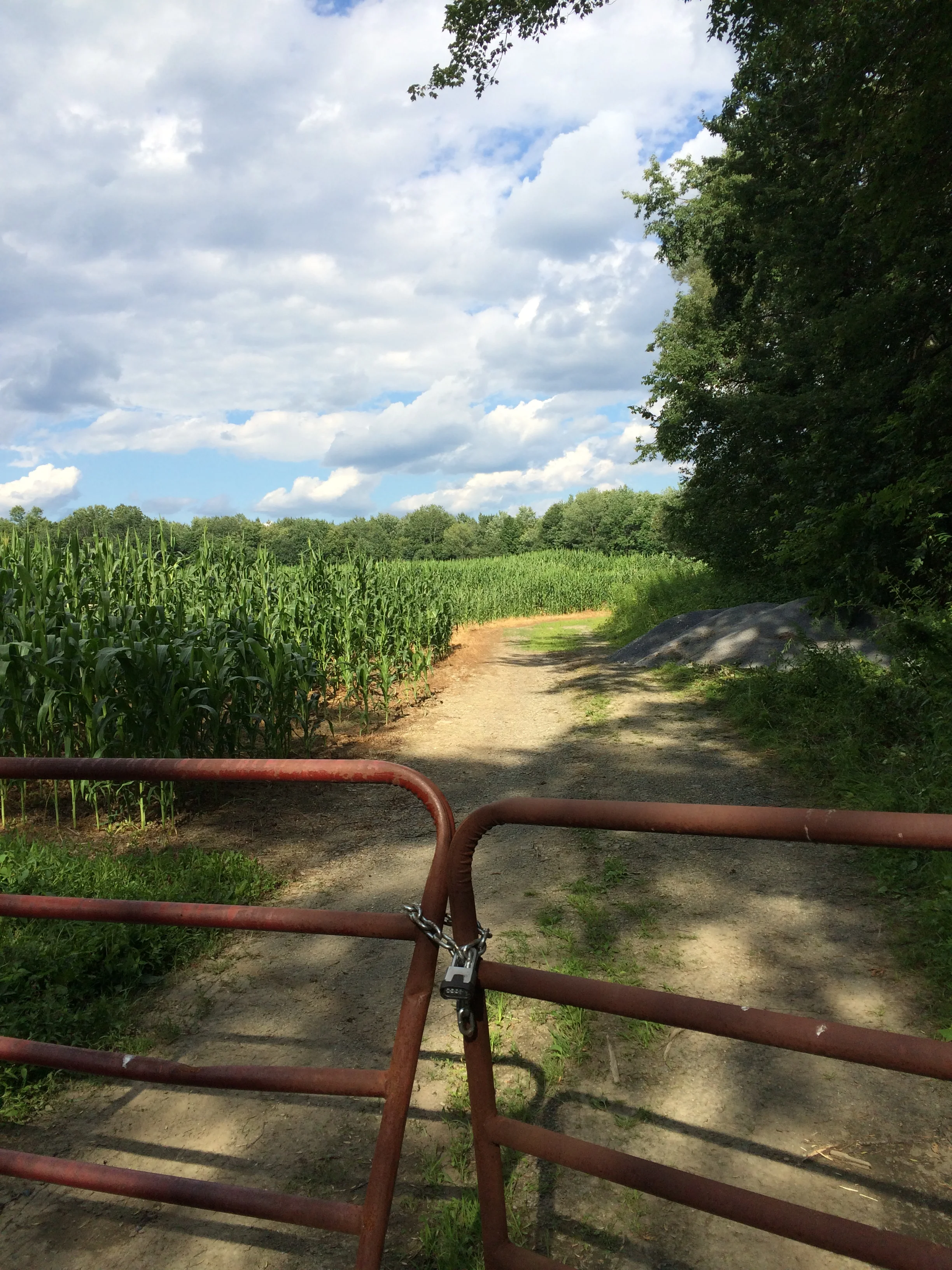 Prescribing Life Lessons: Think Before You Do it