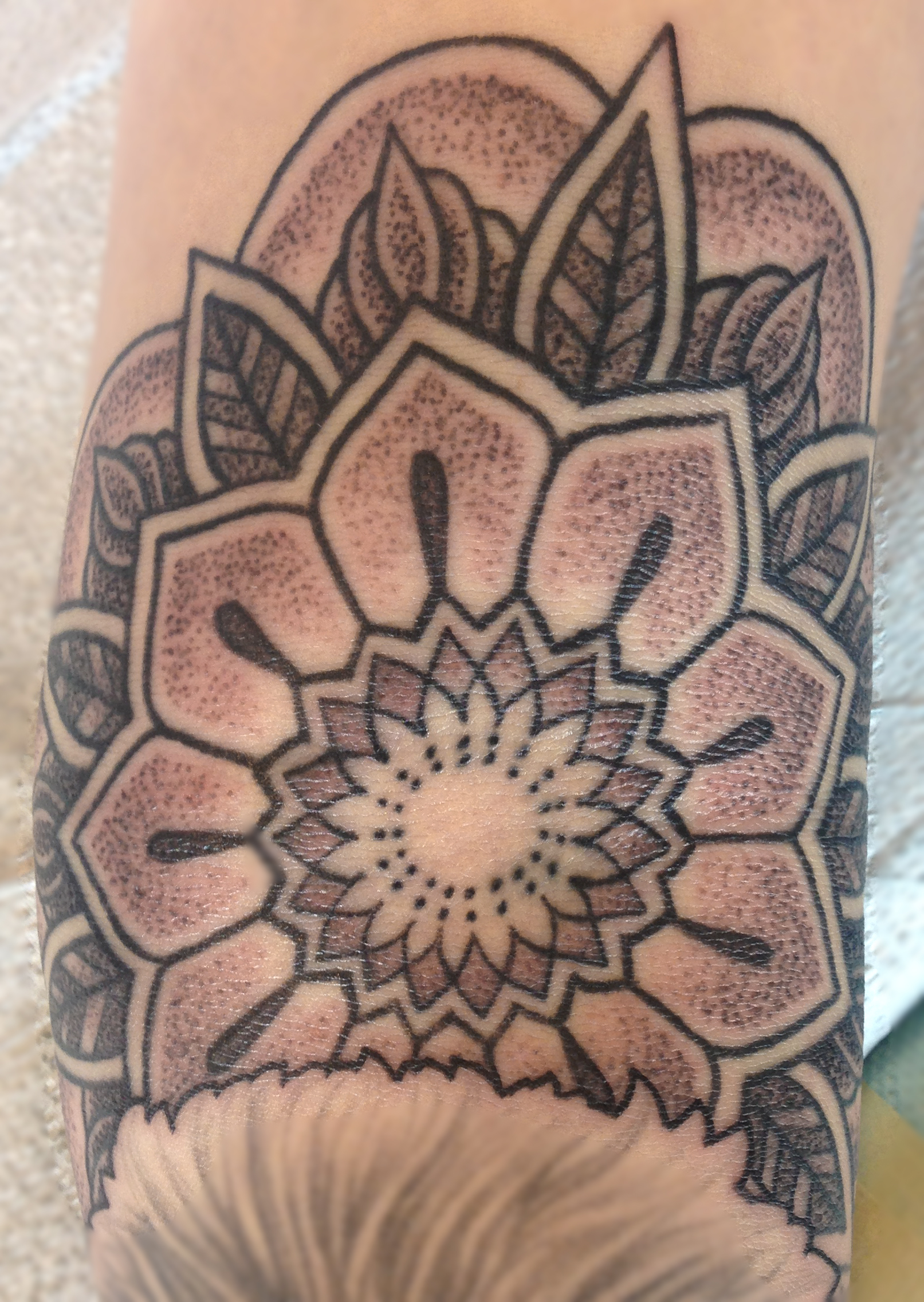 Victoria, BC Tattoo Studio - Paradigm Tattoo Company - Tattoo Artist - Cohen Floch - Vancouver Island - Tattoo Shop - Japanese - Mandala - Traditional - Tattoos