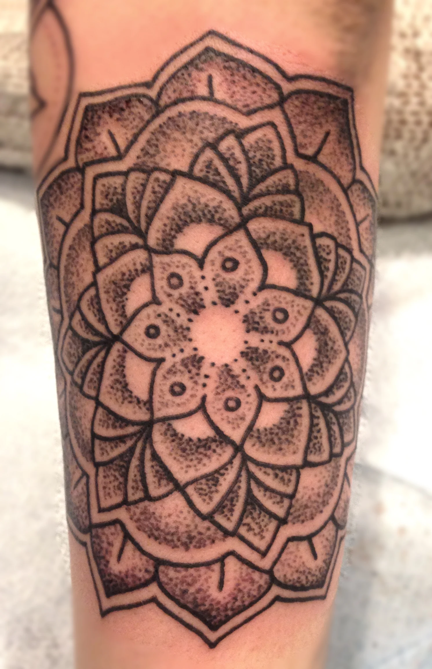 Victoria, BC Tattoo Studio - Paradigm Tattoo Company - Tattoo Artist - Cohen Floch - Vancouver Island - Tattoo Shop - Japanese - Mandala - Traditional - Tattoos