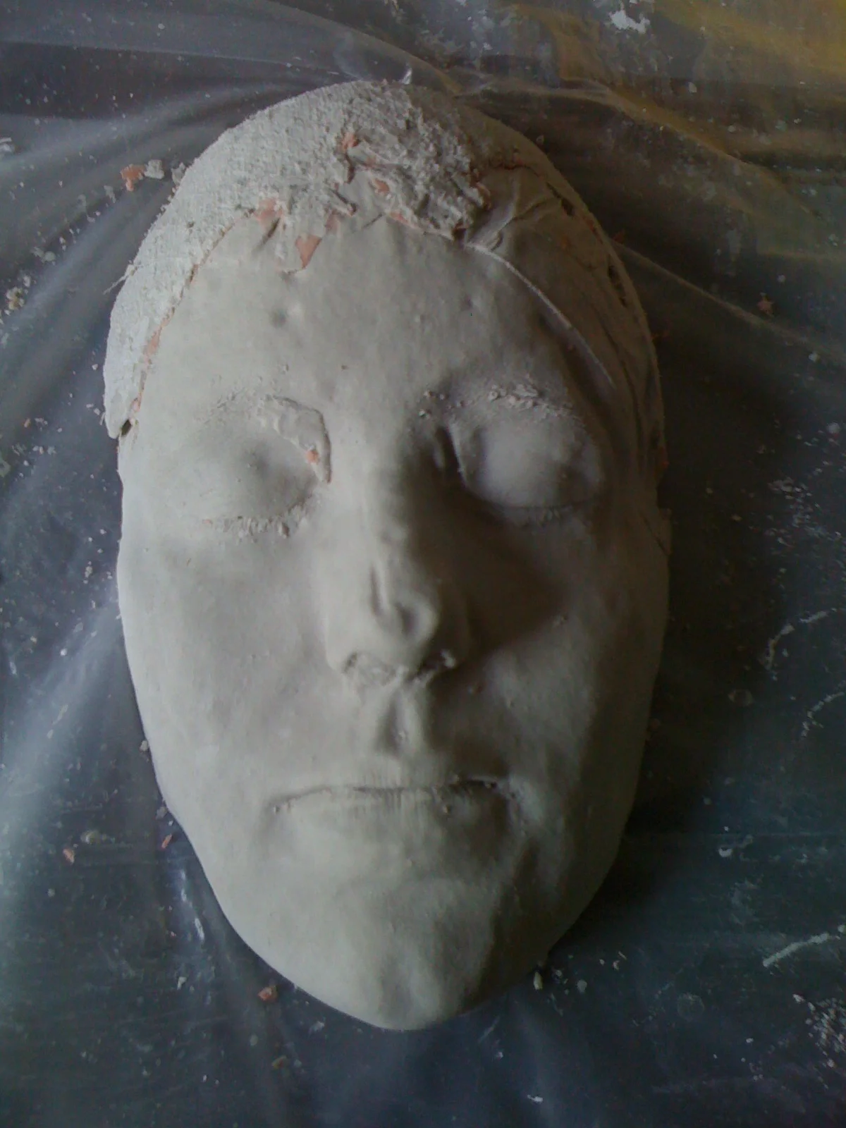 Alginate Face Casting