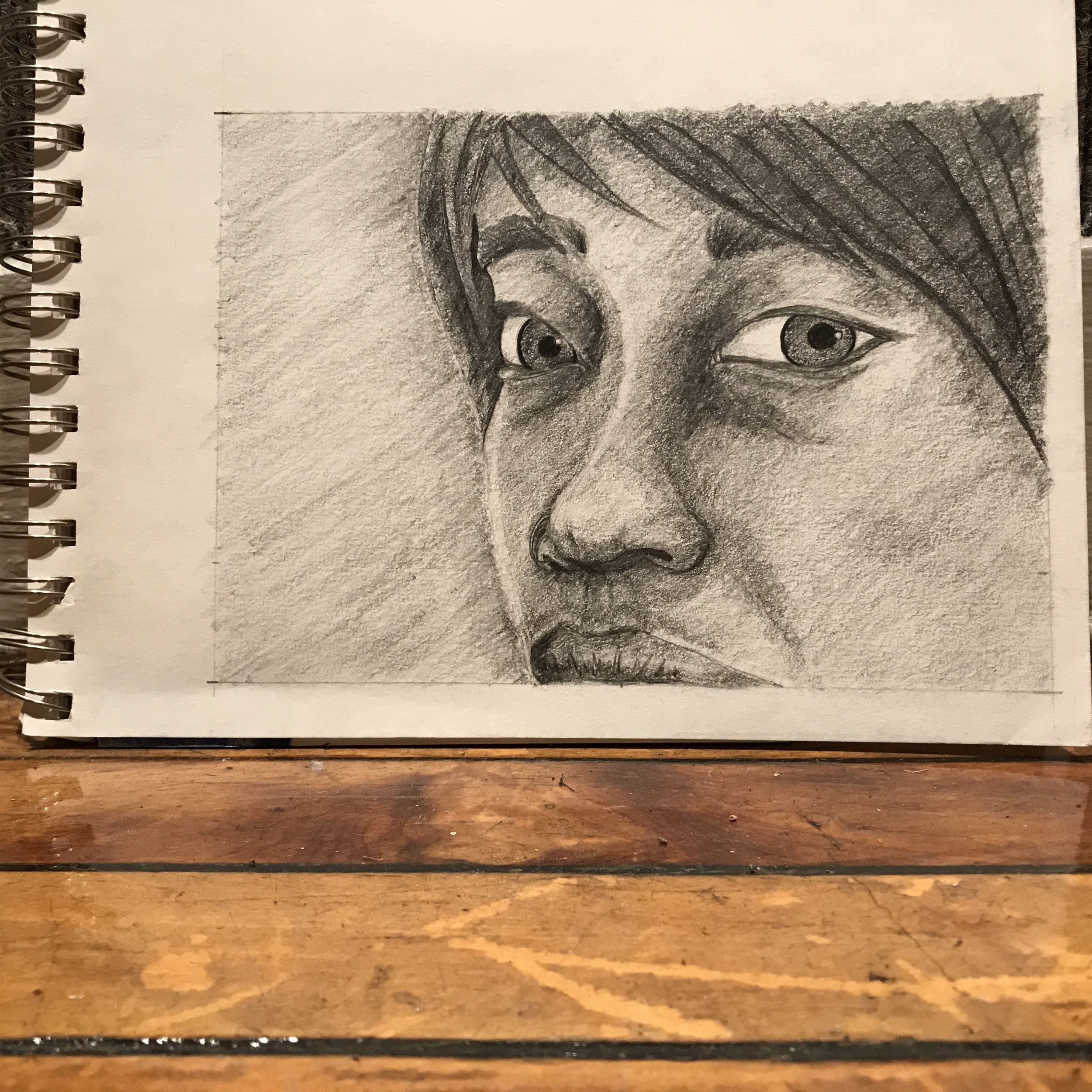 Self Portrait: Eyes and Nose