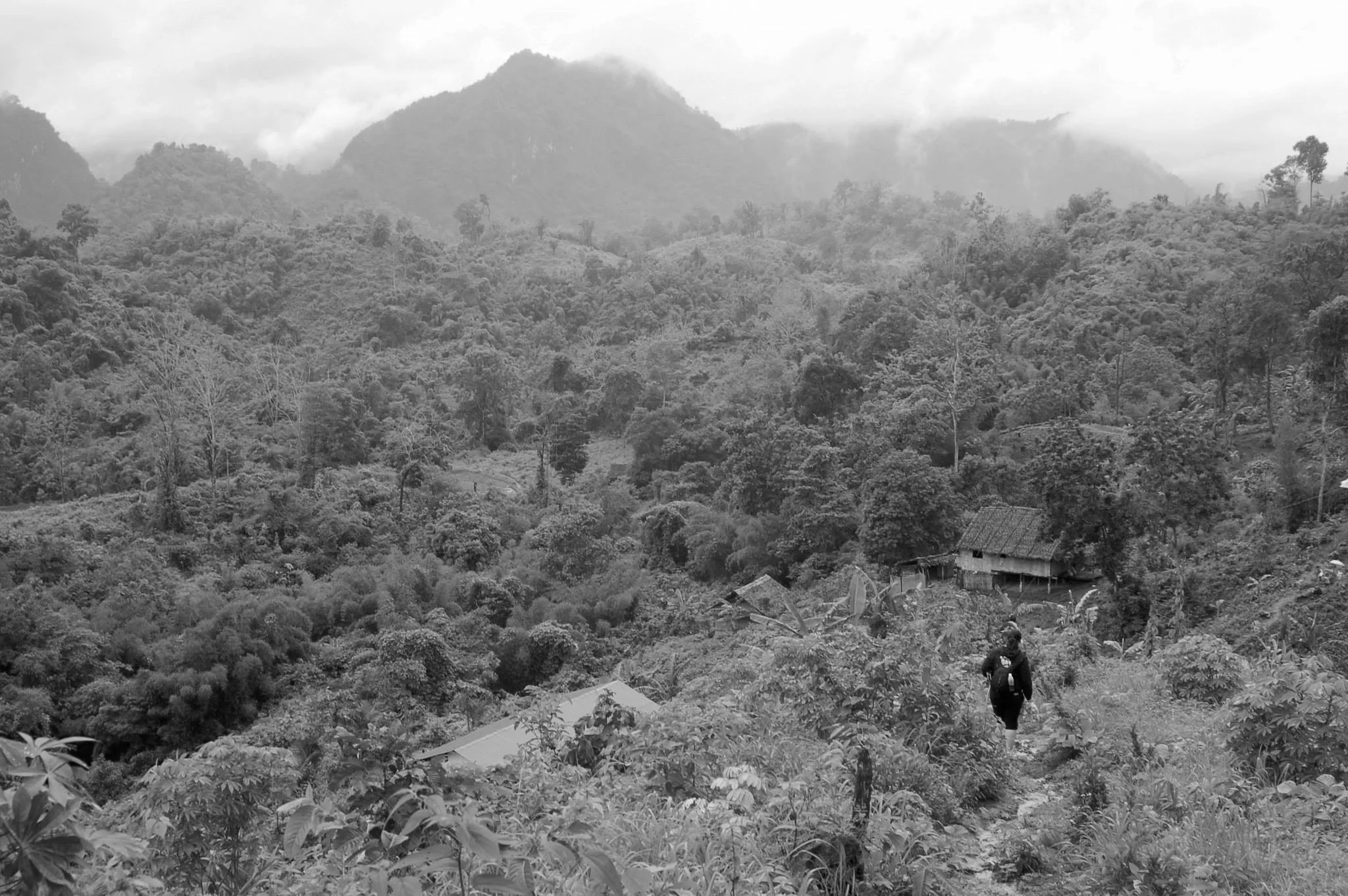Thailand6.jpg