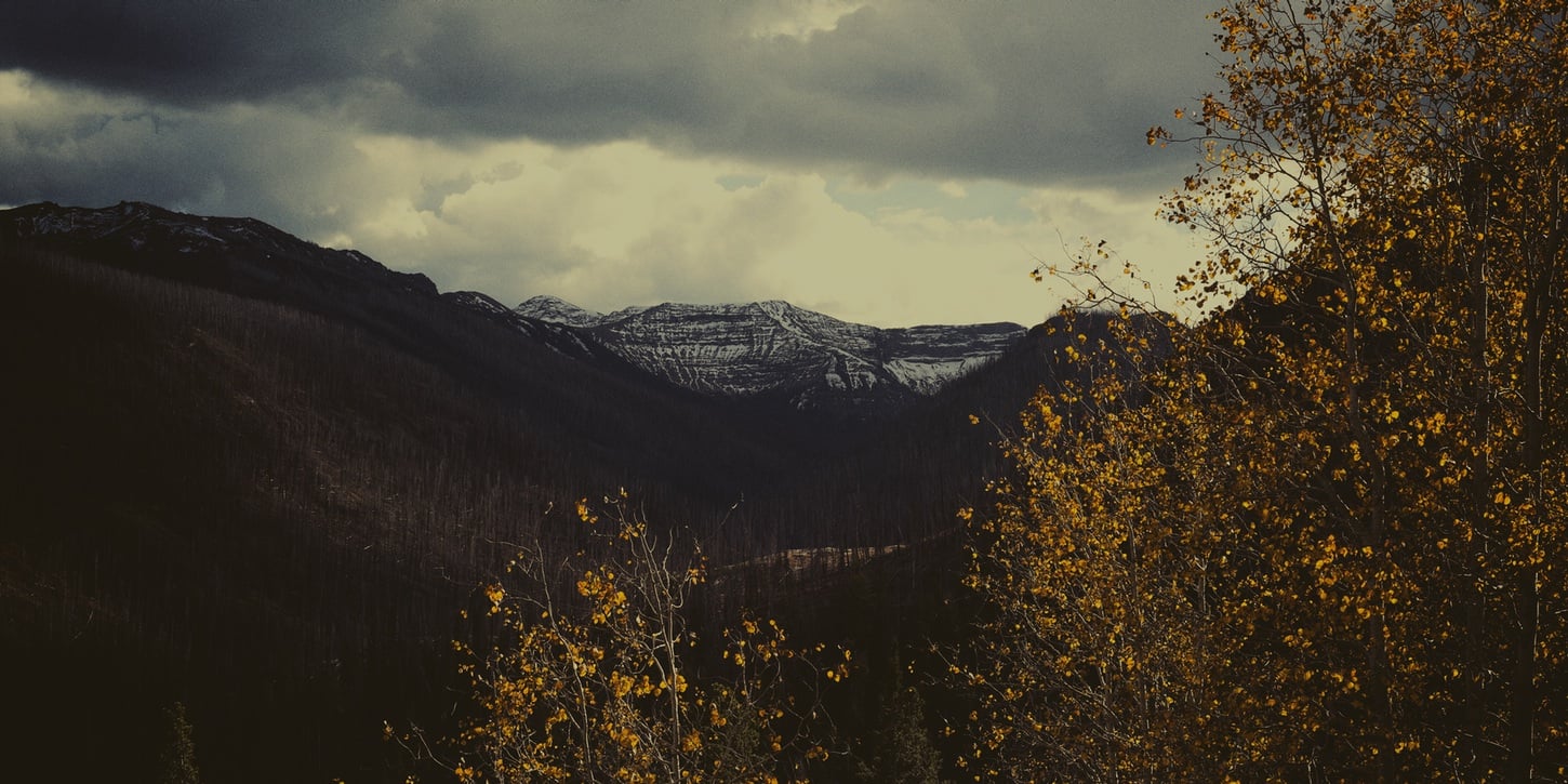photo by Casey Fyfe
