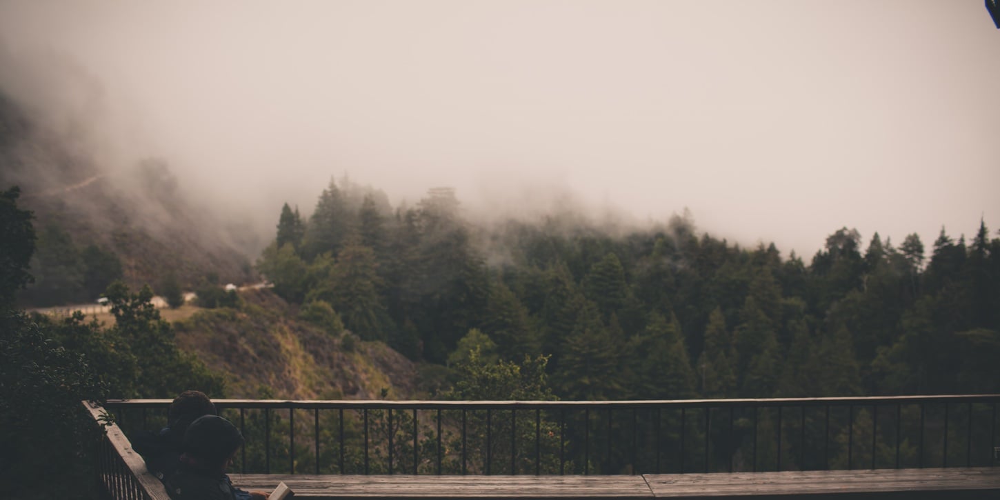 photo by Taylor Leopold