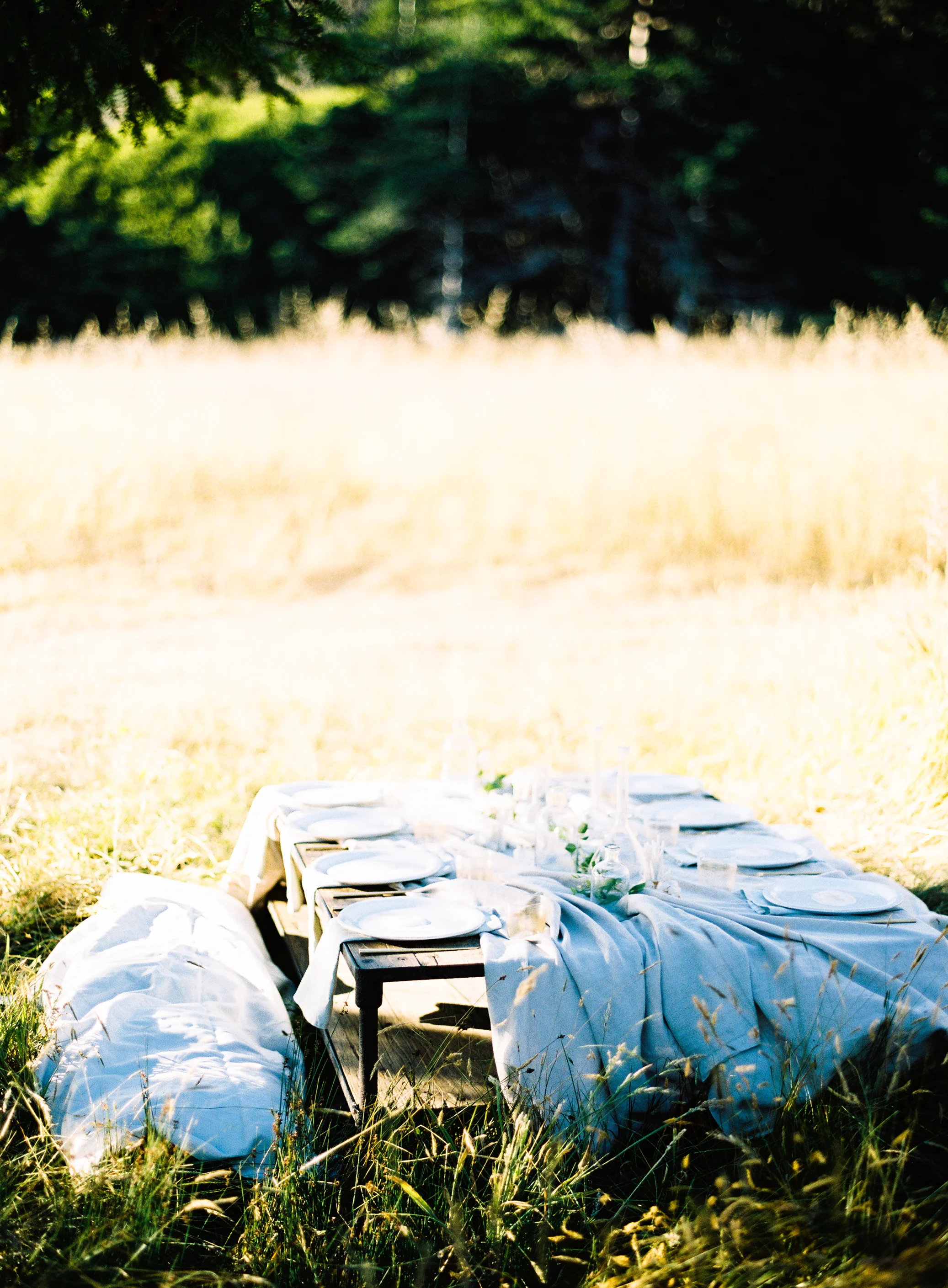 Jen_Wojcik_Photography-009.jpg