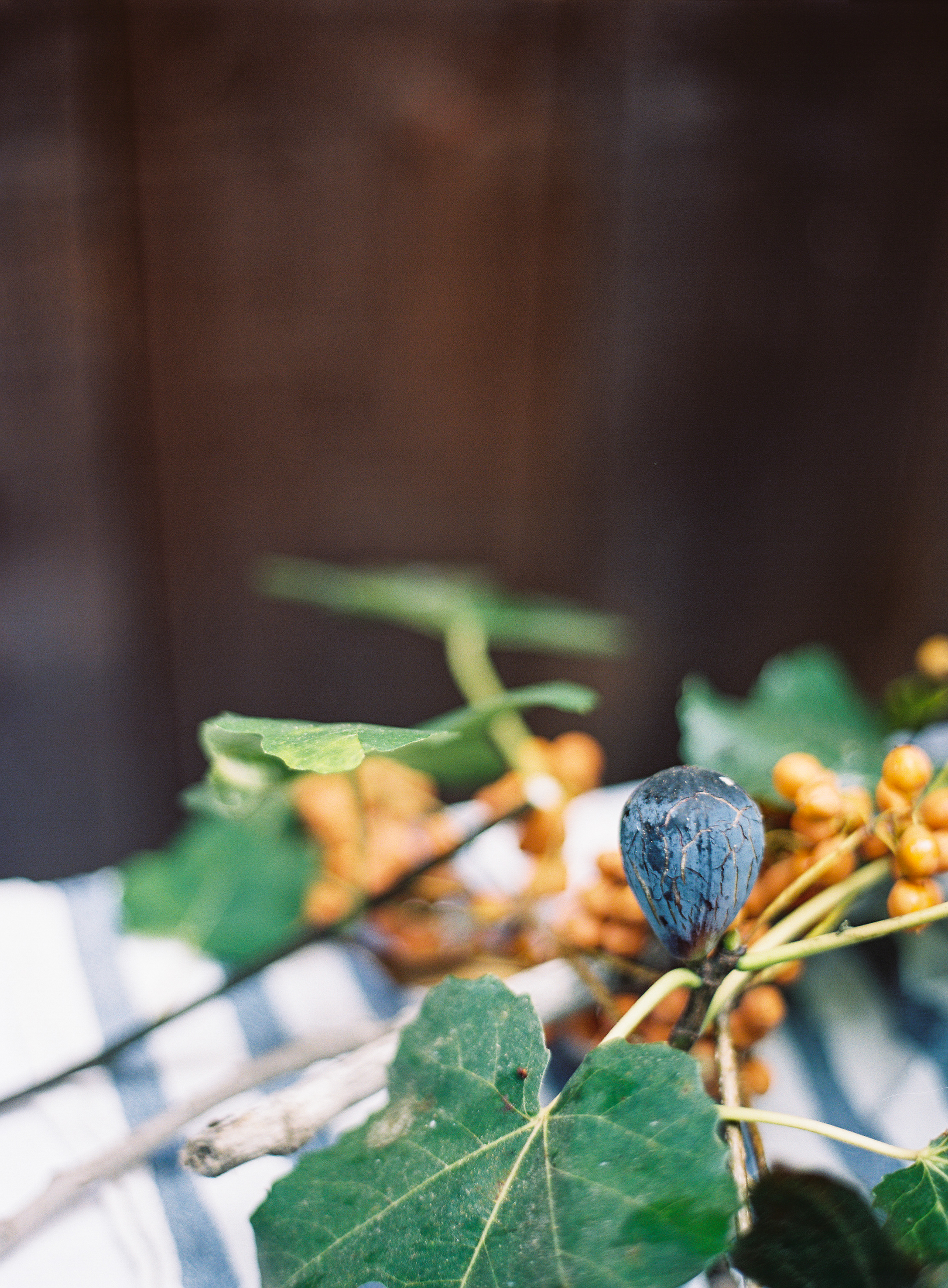 Jen_Wojcik_Photography-003.jpg