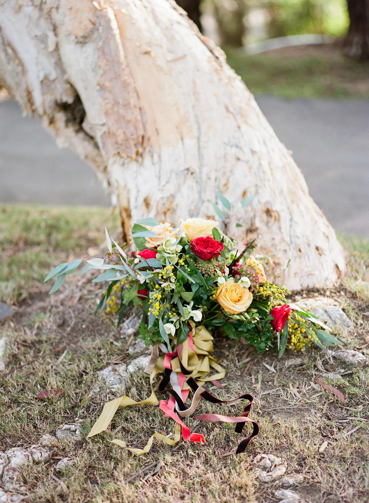 013-Jen-Wojcik-Photography-San-Diego-Wedding-Photographer.jpg