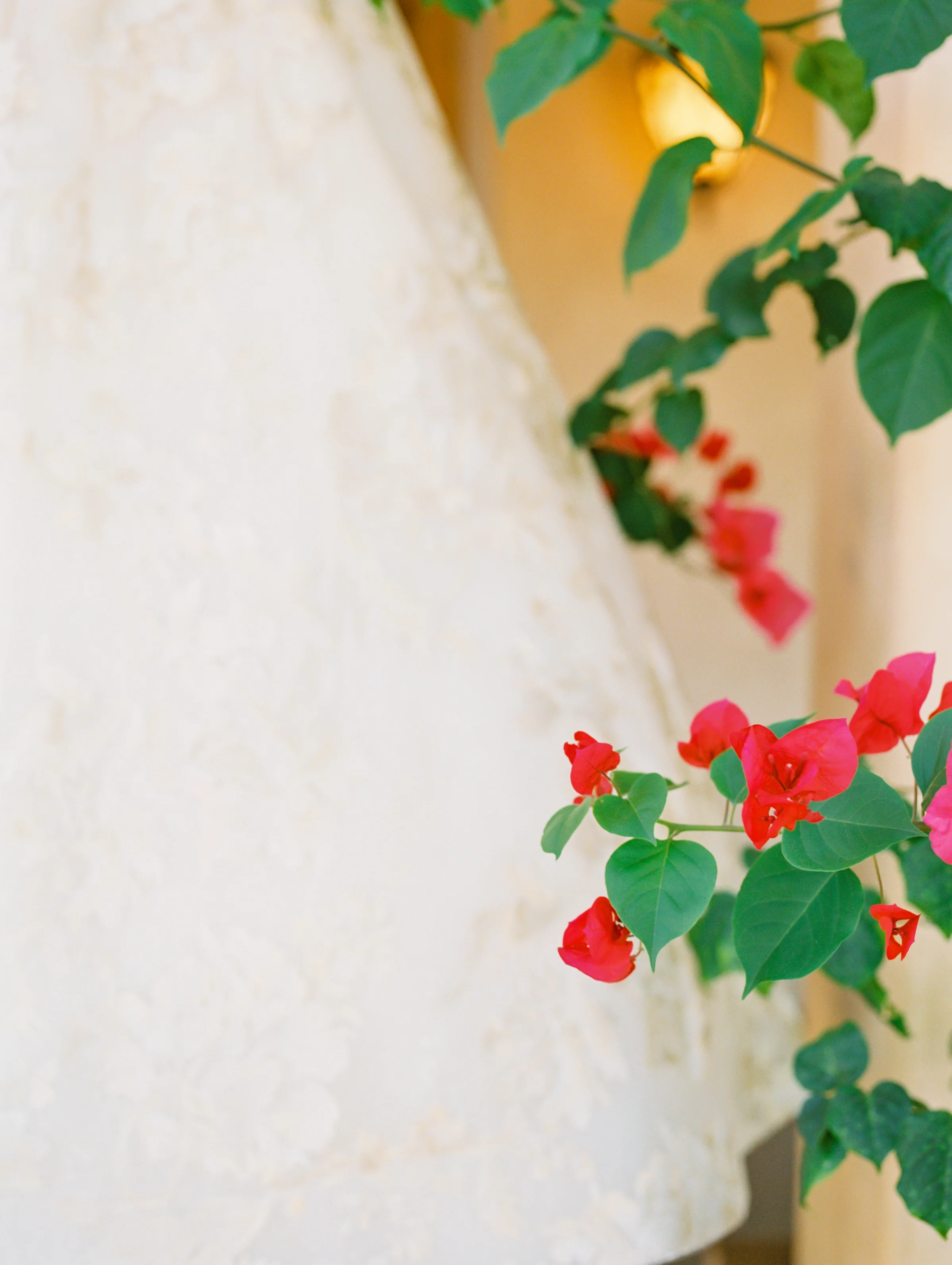 Jen Wojcik Photography-2.jpg