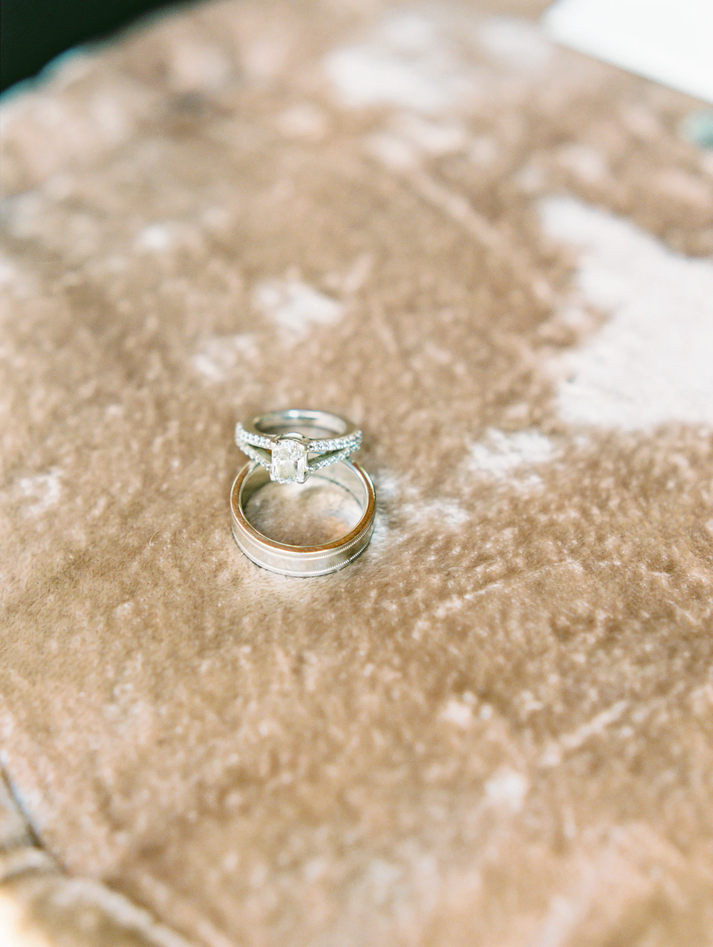 Jen Wojcik Photography-5.jpg