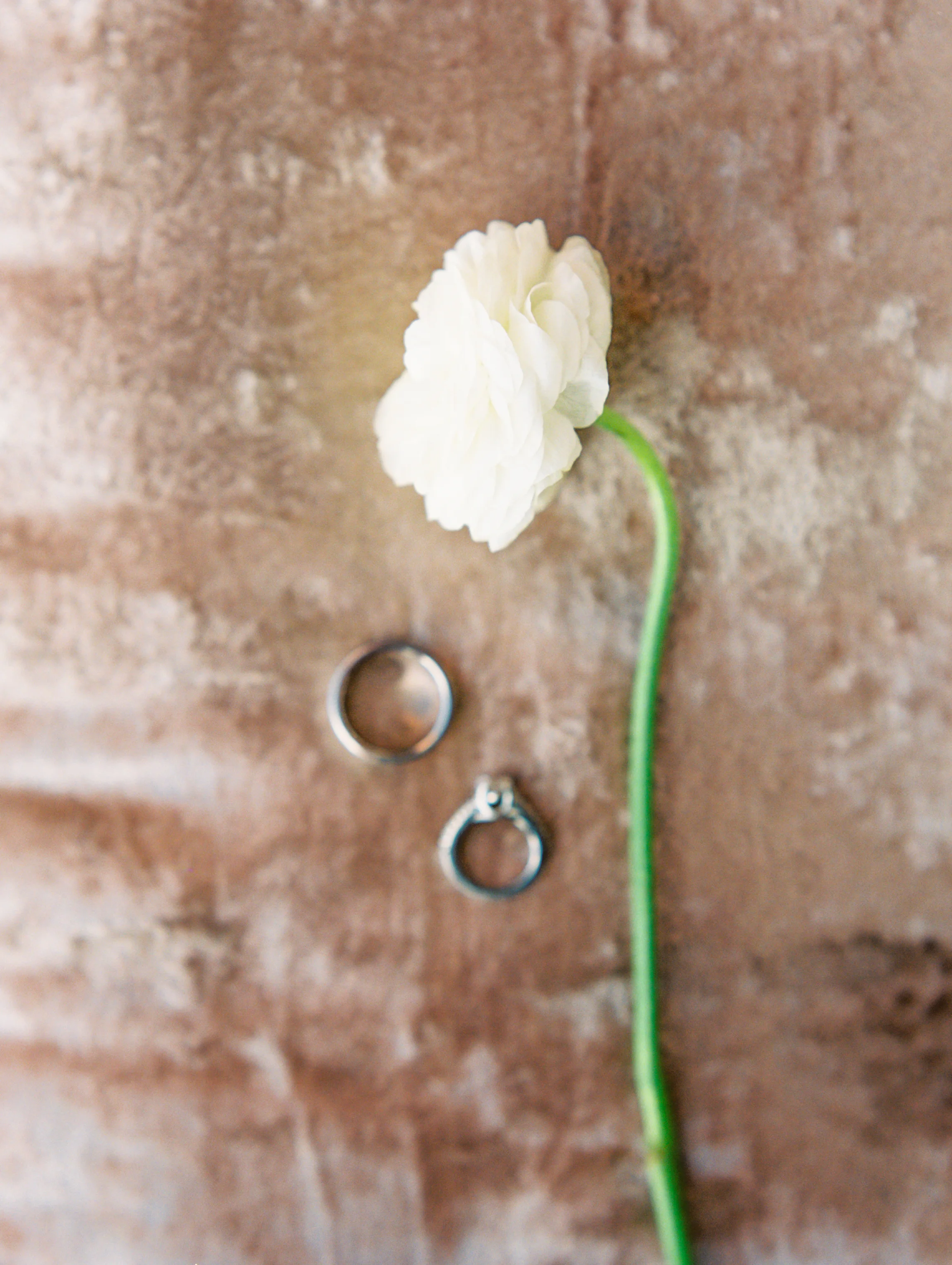 Jen Wojcik Photography-6.jpg